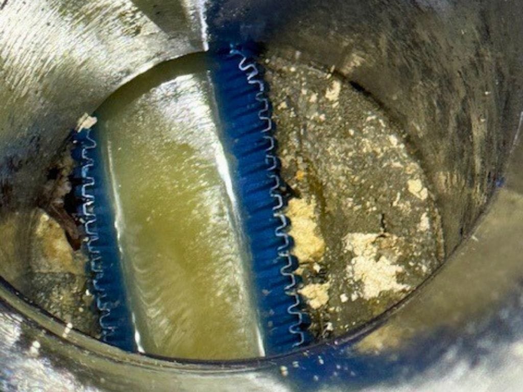 Golfe Detection Maxi intervention Cannes